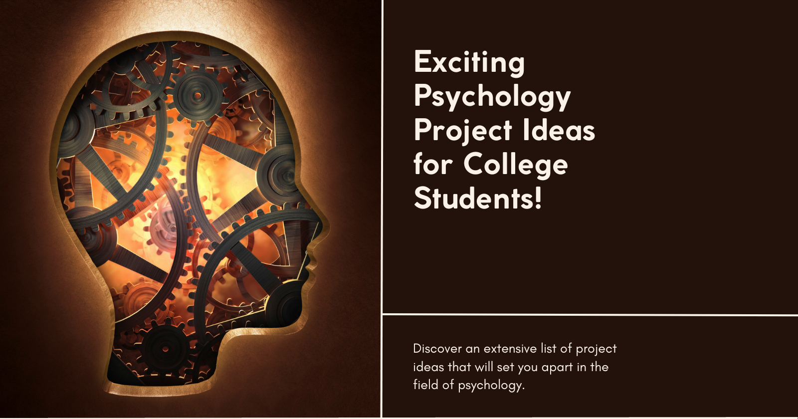 psychology research project ideas for college students